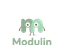 Modulin Logo