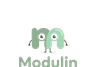 Modulin Icon
